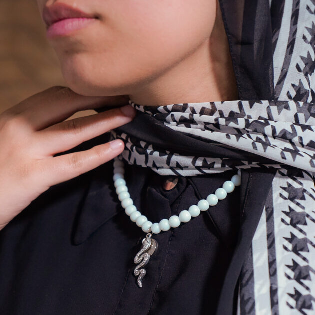 سلسلة الساحل دلاية تعبان